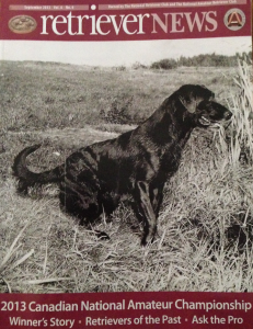 Retriever Field Trial News