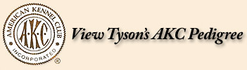 Tyson Pedigree akc_logo