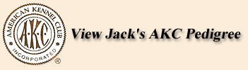 Tyson Pedigree akc_logo