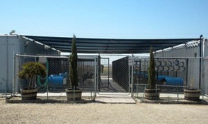 Welcome to Runnin' Retrievers Gun Dog Training kennel-with-shade-cloth-500